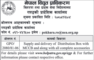 Bid Invitation from NEA for supply & delivery