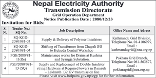 NEA invites bidders for supply & delivery related works