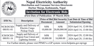 Invitation for Electronic Bids from NEA for 2 works