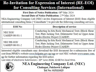 NEA Engineering Company Ltd (NEC)- Expression of Interest 