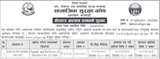Bid Invitation for Supply and Delivery of Electric Car